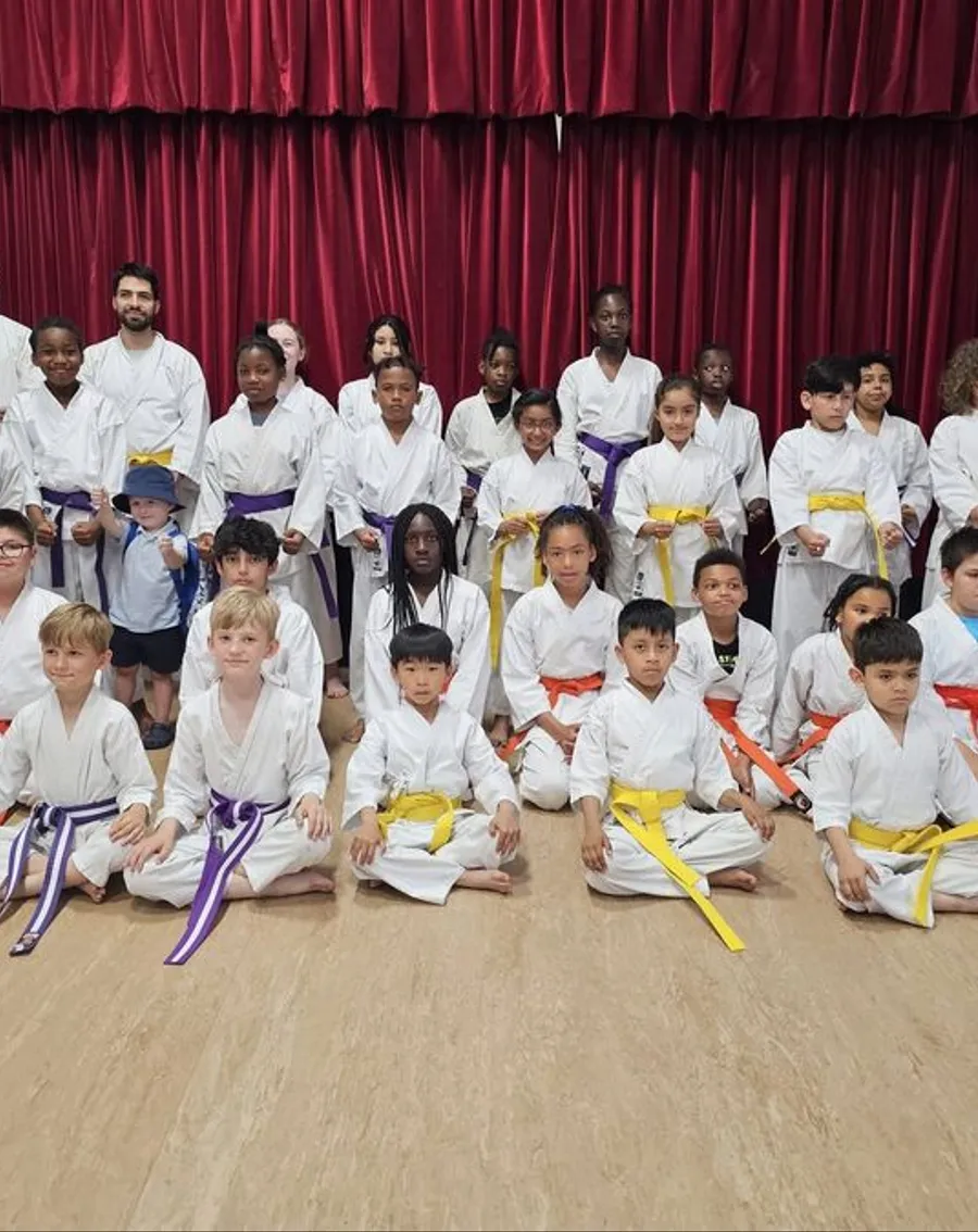 We Offer Exceptional Ikigai Karate Classes in London and Wales